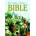 Golden Children's Bible