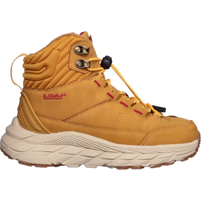 LOAP ALDER 28