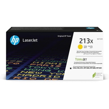 HP W2132X