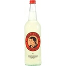 Thomas Henry Ginger Beer Spicy 0,75 l