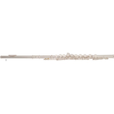 Bacio Instruments BFL-100S – Zboží Mobilmania