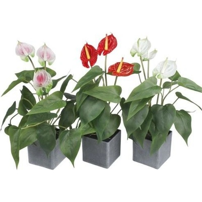 Umelý kvet Antúria v hranatom kvetináči mix farieb 42cm