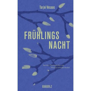 Frühlingsnacht | Hinrich Schmidt-Henkel (2025)