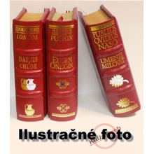 Utrpenie mladého Werthera