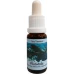 PHI Essences За медитация - Есенция Черна гринда № 10, капки 15 ml (10 SEA)