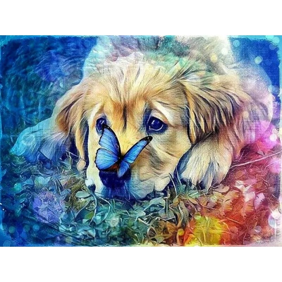 Norimpex Diamantové malování Pes s motýlem 30 x 40 cm