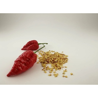 Naga Morich red semínka 10 ks