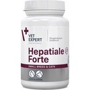Hepatiale Forte pro velká plemena 40 tbl