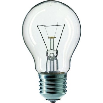 TES-LAMP 100W A55 240V E27