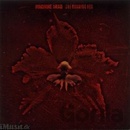 MACHINE HEAD: BURNING RED CD