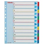 Esselte Binder switches for A4 Mylar with descriptive page 1-12 numeric (10K200B)