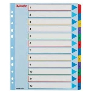 Esselte Binder switches for A4 Mylar with descriptive page 1-12 numeric (10K200B)