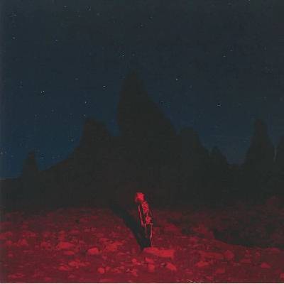 Phoebe Bridgers - Punisher LP