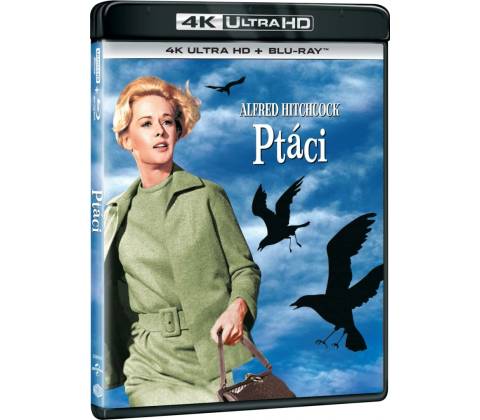 Ptáci BD