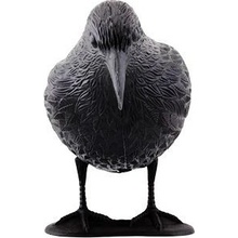 ISO Odpuzovač holubů a ptáků havran - U.T.C