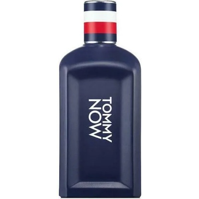 Tommy Hilfiger Tommy Now EDT 100 ml Tester