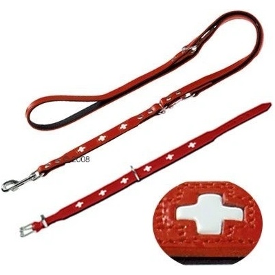 Hunter Swiss a vodítko Swiss obojok