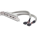DIGITUS záslepka slotu s 4 USB portami / kábel 2x 10 Pin / 0.25m AK-300304-002-E