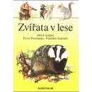 Zvířata v lese