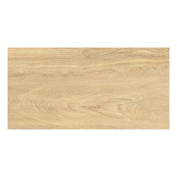 Image 1 of Izida ceramica ГРАНИТОГРЕС LEONARDO NATURAL 30.3x60.6 8мм (9086A11)