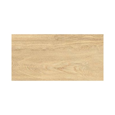 Izida ceramica ГРАНИТОГРЕС LEONARDO NATURAL 30.3x60.6 8мм (9086A11)