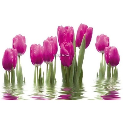 Růžové tulipány 1 deska 100x50
