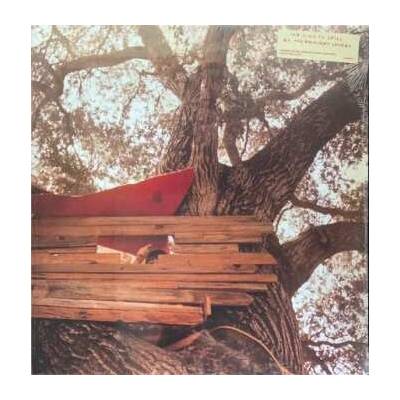 The Backseat Lovers - Waiting to Spill CLR LP