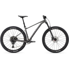 Giant Fathom 29 1 2025