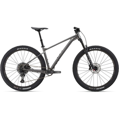 Giant Fathom 29 1 2025