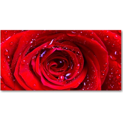 Foto obraz sklo tvrzené kvet ruže 100x50 cm