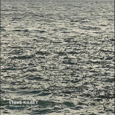 Steve Kilbey - WHISPERS IN THE ATTIC CD
