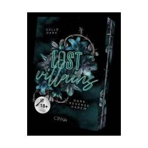 Lost Villains (ISBN: 9783692000145)