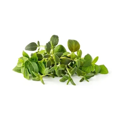 Click & Grow Семена Click and Grow Италиански пица микс, 9 броя (PPMIPX9)