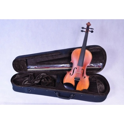 Dowina Pierre Marin Salieri 1/2 Violin Set