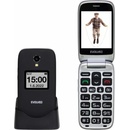 Image 1 of EVOLVEO EasyPhone FS EP-771