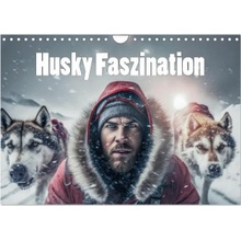 Husky Faszination Wand DIN A4 quer, CALVENDO Monats 2025