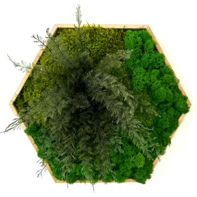 Hexagon Lisa Veľkosť rámu: 26cm - v najširšom bode