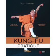 Kung-fu pratique