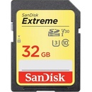 Paměťové karty sanDisk SDHC UHS-I U3 32 GB SDSDXVT-032G-GNCIN