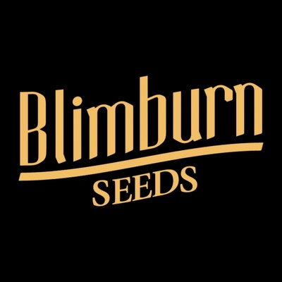 Blimburn Seeds Kabrales AUTO semena neobsahují THC 9 ks