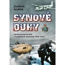 Synové duhy