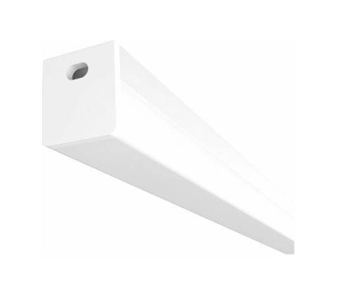 Rendl R14089