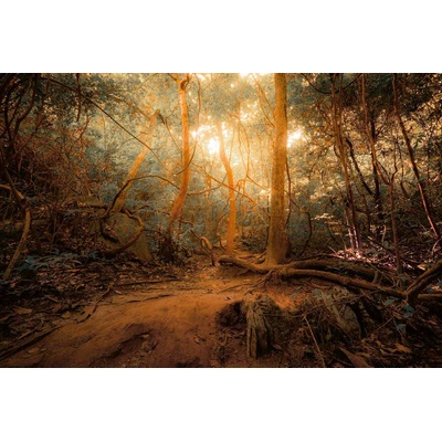 DIMEX ART Флизелинов фототапет мистериозна джунгла 375 x 250 см