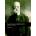 Josef Hybeš 1850-1921