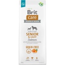 Brit Care Grain-free Senior & Light Salmon 12 kg