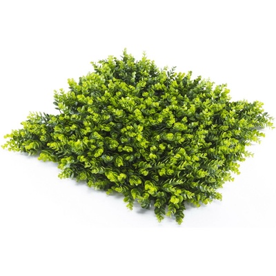 Umelý živý plot BUXUS SEMPERVIRENS, dielec 50x50cm