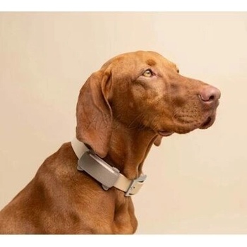 Tractive GPS Dog 6 Tracker pre psov hnedý