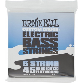Ernie Ball 2810