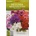 Hortus Петуния Джудже Микс Petunia hibryda