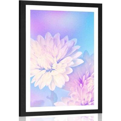 Plakát s paspartou květ chryzantémy - 30x45 black